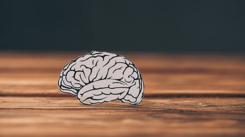 Supporting the VA’s High Reliability Organization Journey Through Suicide Prevention